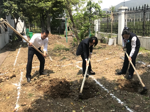 圖為前期所領(lǐng)導(dǎo)帶頭開(kāi)墾荒地 陳瑩攝_副本.jpg